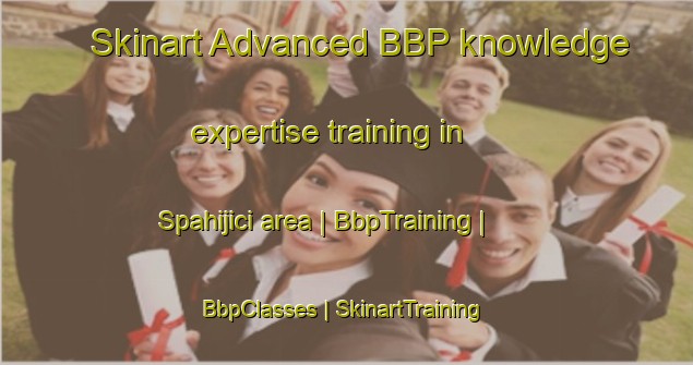 Skinart Advanced BBP knowledge expertise training in Spahijici area | BbpTraining | BbpClasses | SkinartTraining-Bosnia and Herzegovina